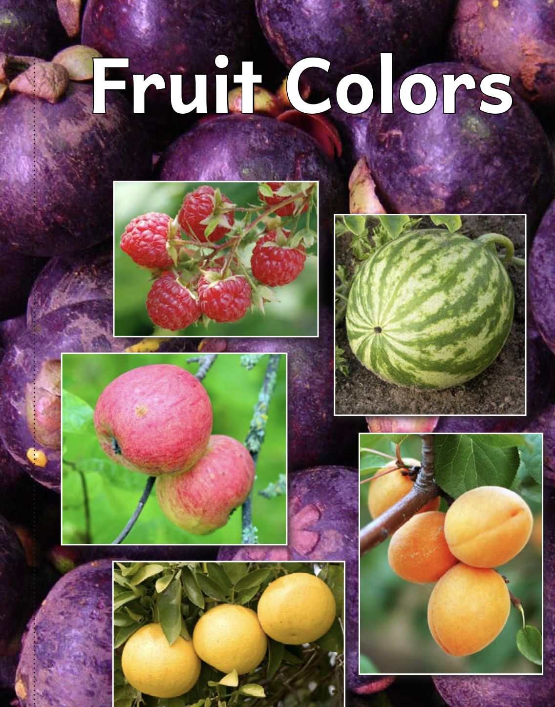 🌟第一阶段阅读课程-蓝思 BR70–100L（A-C）